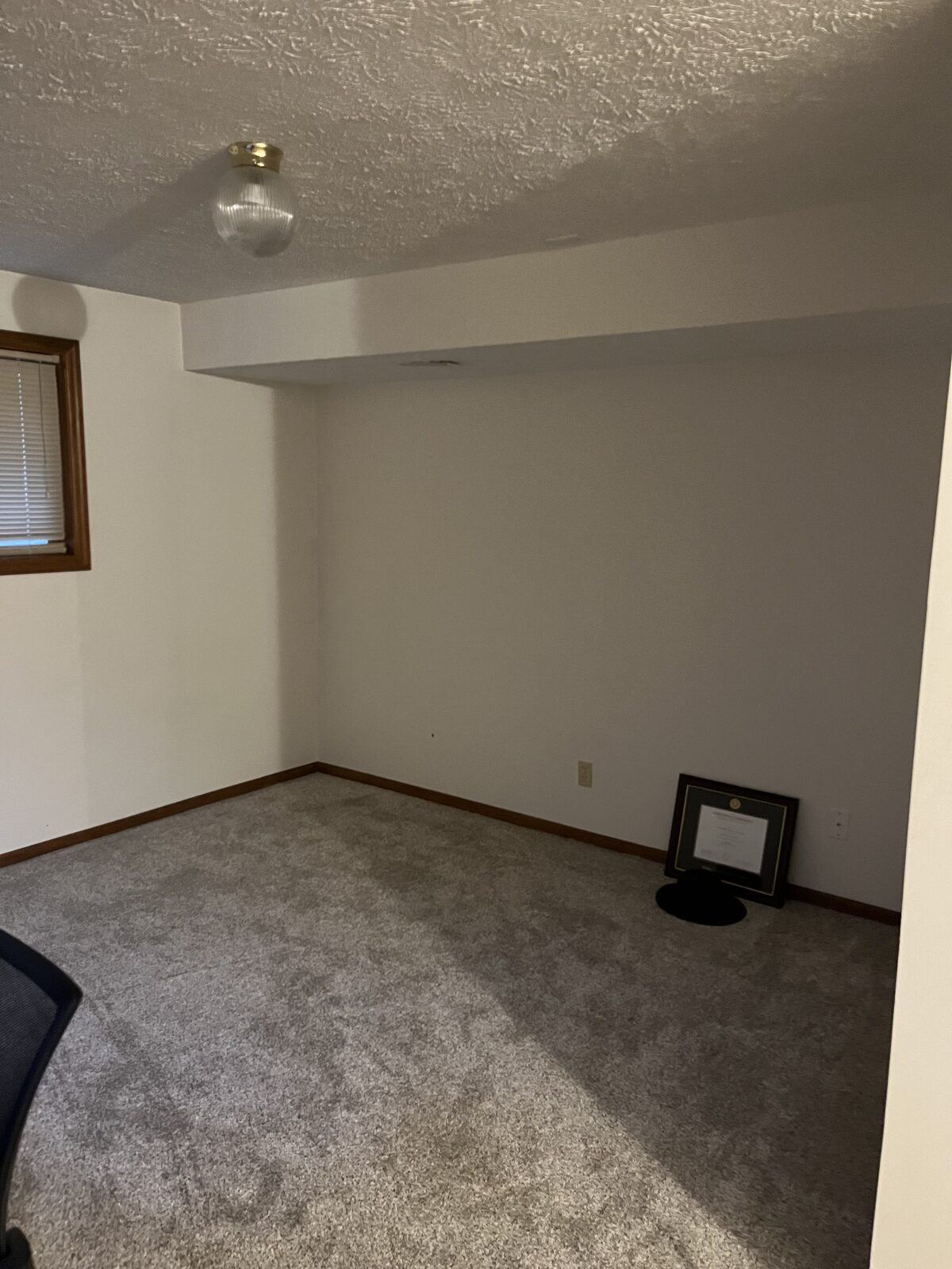 Empty basement bedroom with gray carpet, dated oak trim, and a bare globe ceiling light before renovation
