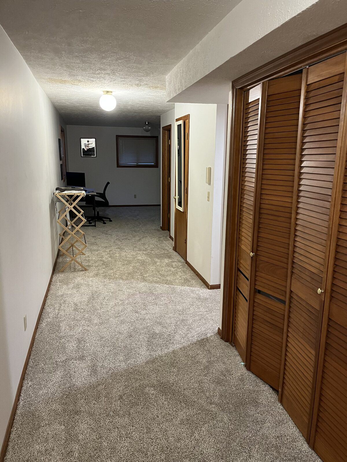 Dated basement hallway with worn carpet, oak louvered closet doors, and stained wood trim before renovation